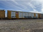 TTGX 698971